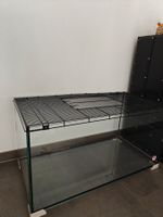 Nagerkäfig aus Glas (gross)