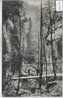 Kellerfluh - Teufelsschlucht zwischen Hägendorf und Langenbr