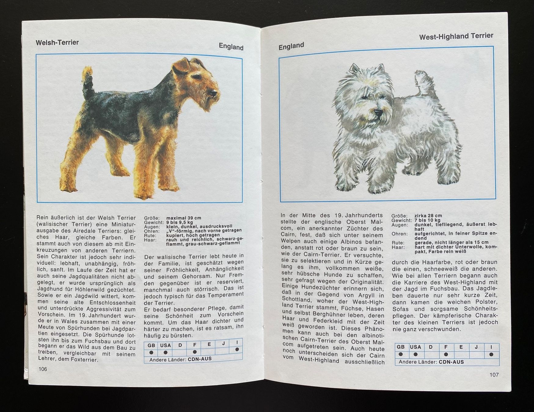 Libri: HUNDE LEXIKON – Usato da Nussbaumen AG venduto da schuba2000 2