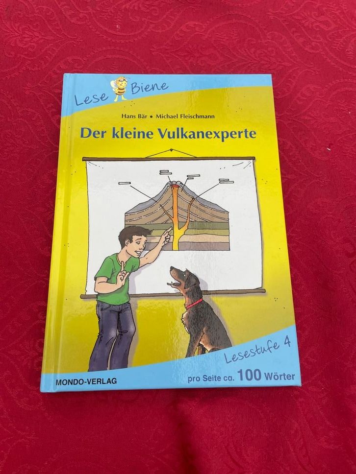 Libri: Lesebiene - Der kleine Vulkanexperte (Lesestufe 4) – Usato da Bergdietikon venduto da book-4-you