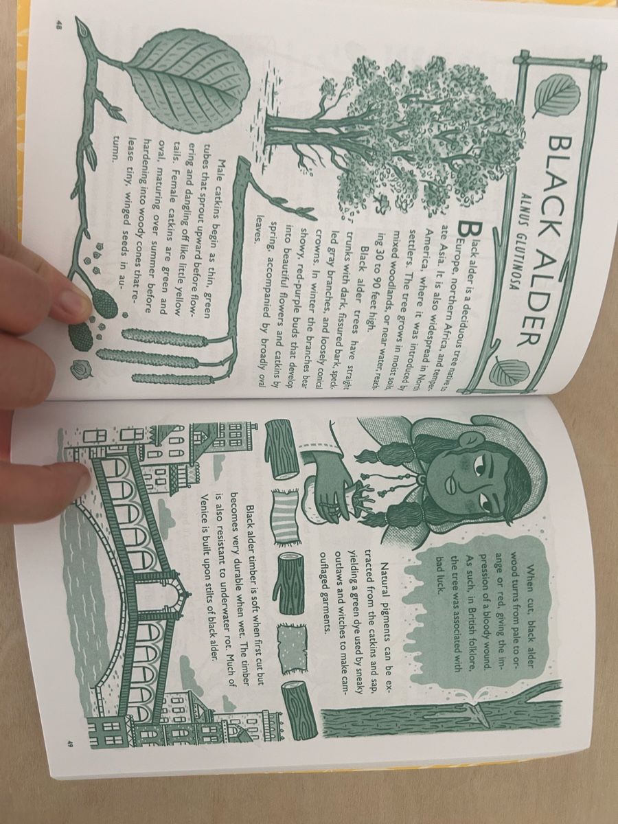 Libri: The wild year book new – Nuovo (secondo la descrizione) da Epalinges venduto da kat_lyp6 1