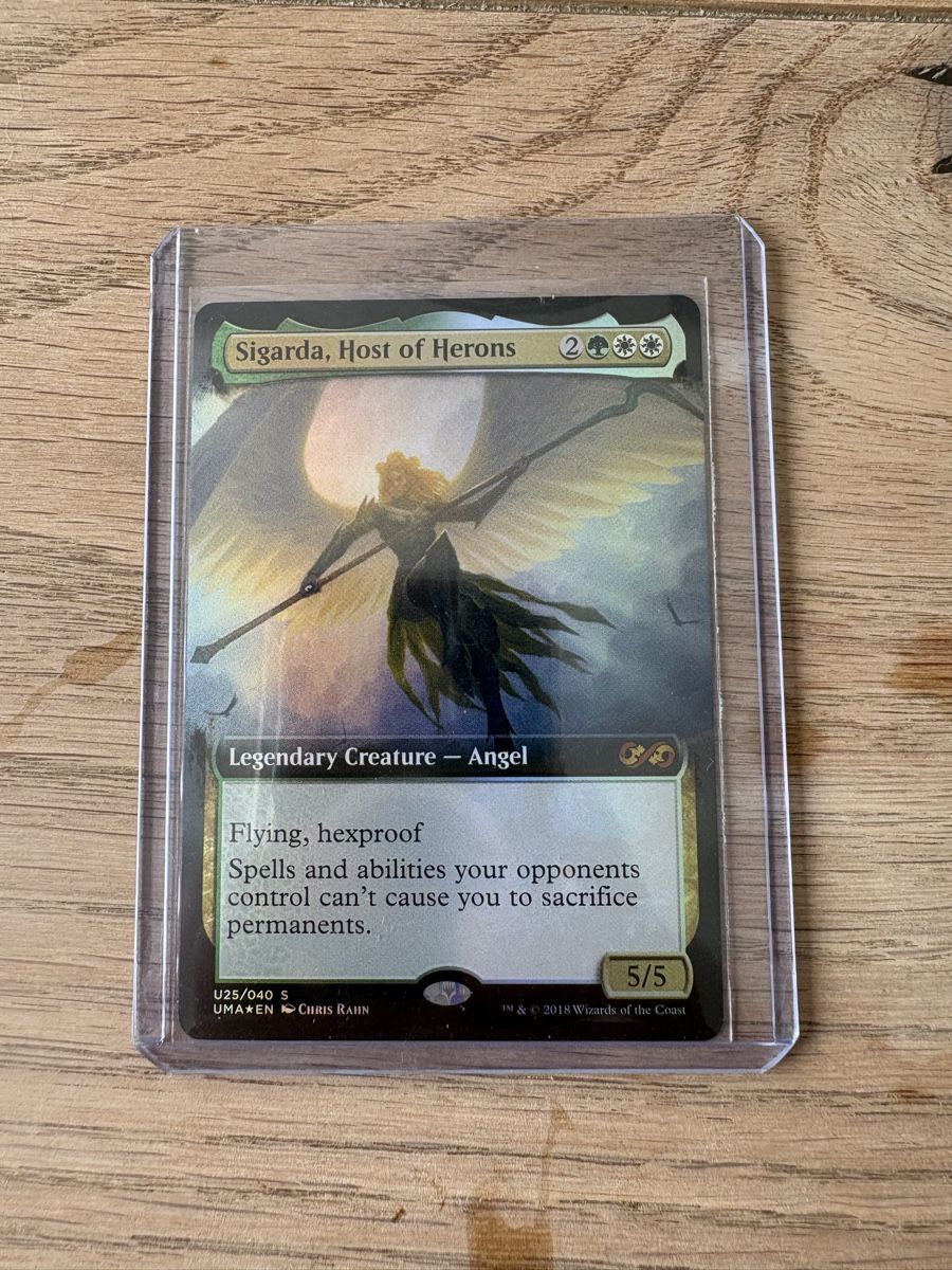 Magic The Gathering Carte collezionabili: Magic the gathering Sigarda – Usato da Melide venduto da Cesareee