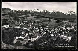 AK Wald, Gesamtansicht mit Speer und Mürtschenstock