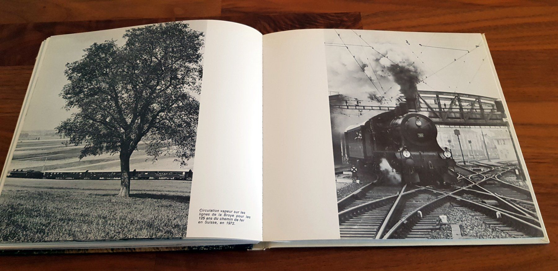 Libri: Chemins de fer de la Broye 1876-1976 – Usato da Birrwil venduto da dirtyoldtown 9