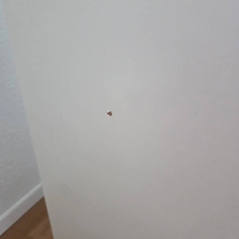 Ikea Altro per la casa: IKEA Malm Bett Schubladen – Usato da Rotkreuz venduto da Brand_new_user 2