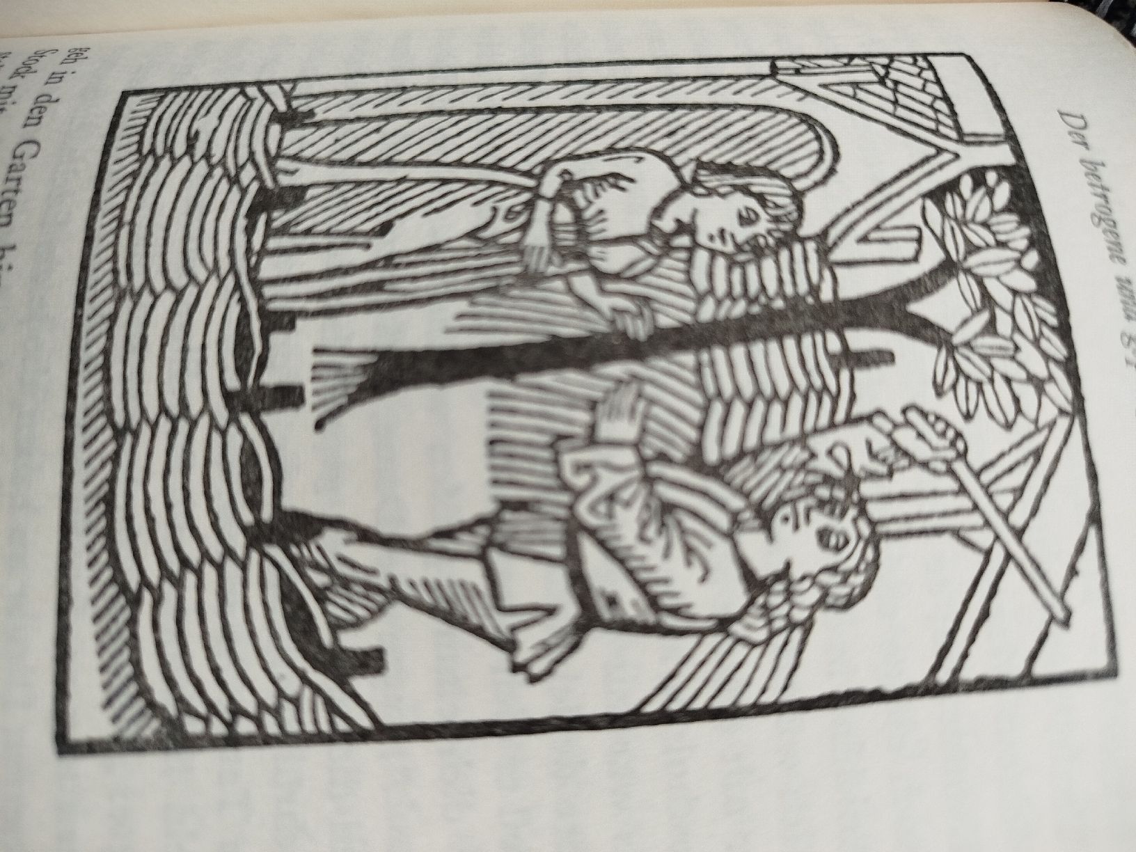 Libri: Buch "Ein Irrgarten der Liebe" 1961 – Usato da Glashütten venduto da lightmoon 5
