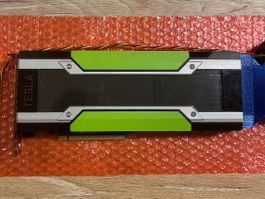 Nvidia P40 24GB