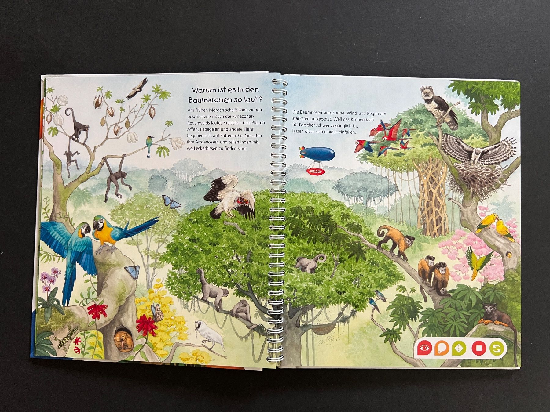 Bücher: Tip Toi TipToi entdecke den Regenwald Buch – Gebraucht aus Ennetbaden von mapa05 4