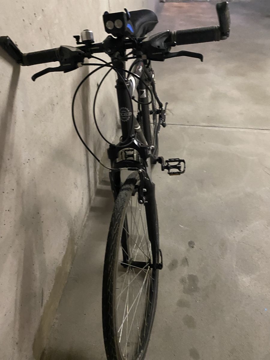 Biciclette: Velo-bike – Usato da Uznach venduto da Bergomi161 1
