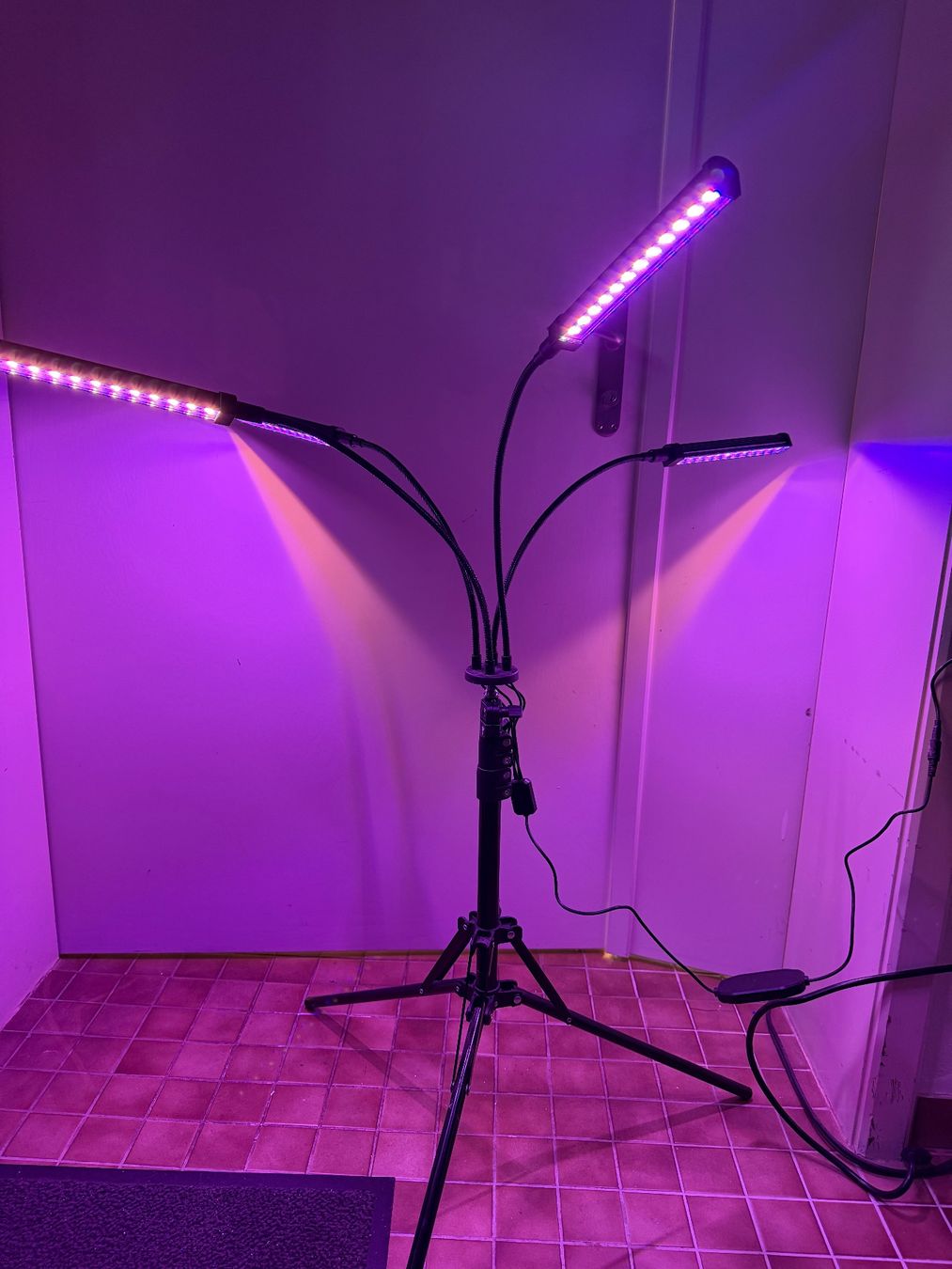 Lampade: Grow Light - Pflanzenlampe - LED – Usato da Thalwil venduto da Andi8800