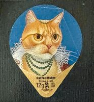 513 - Chats