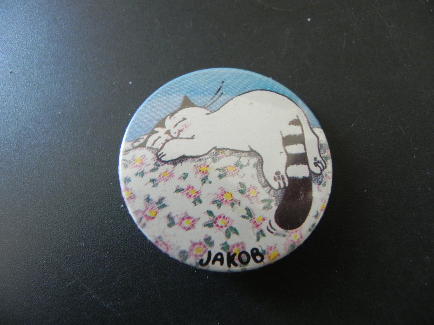 Broschen & Nadeln: Alter  Badge Kater Jakob – Gebraucht aus Biel/Bienne von