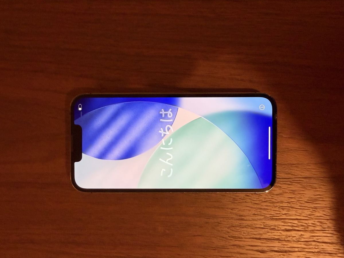 Apple Portables: I Phone 13 Pro – D'occasion à Winterthur par D4r1o2000
