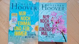 Colleen Hoover Bücher Set It ends with us * letzte tage