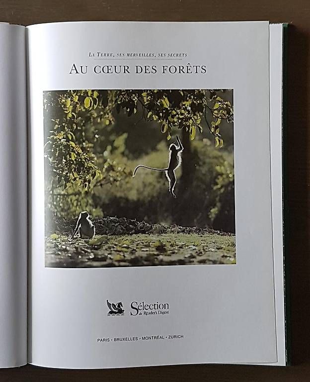 Libri: 10.- pour 3 beaux livres neufs – Usato da Genève venduto da Flo500 3