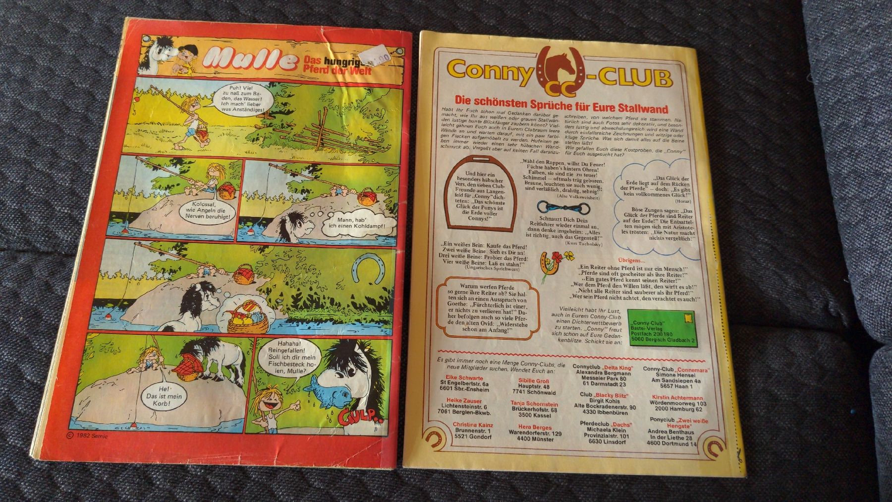 Fumetti: 2x Conny Comics Nr. 113 & 82 Mädchen Pferde Abenteuer Bastei – Usato da Niederscherli venduto da Mon_Art 1