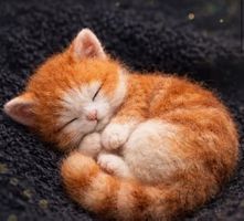 Filzen-Wollfilz-Filzmalerei-Stichinseln-Handgemacht-Katze