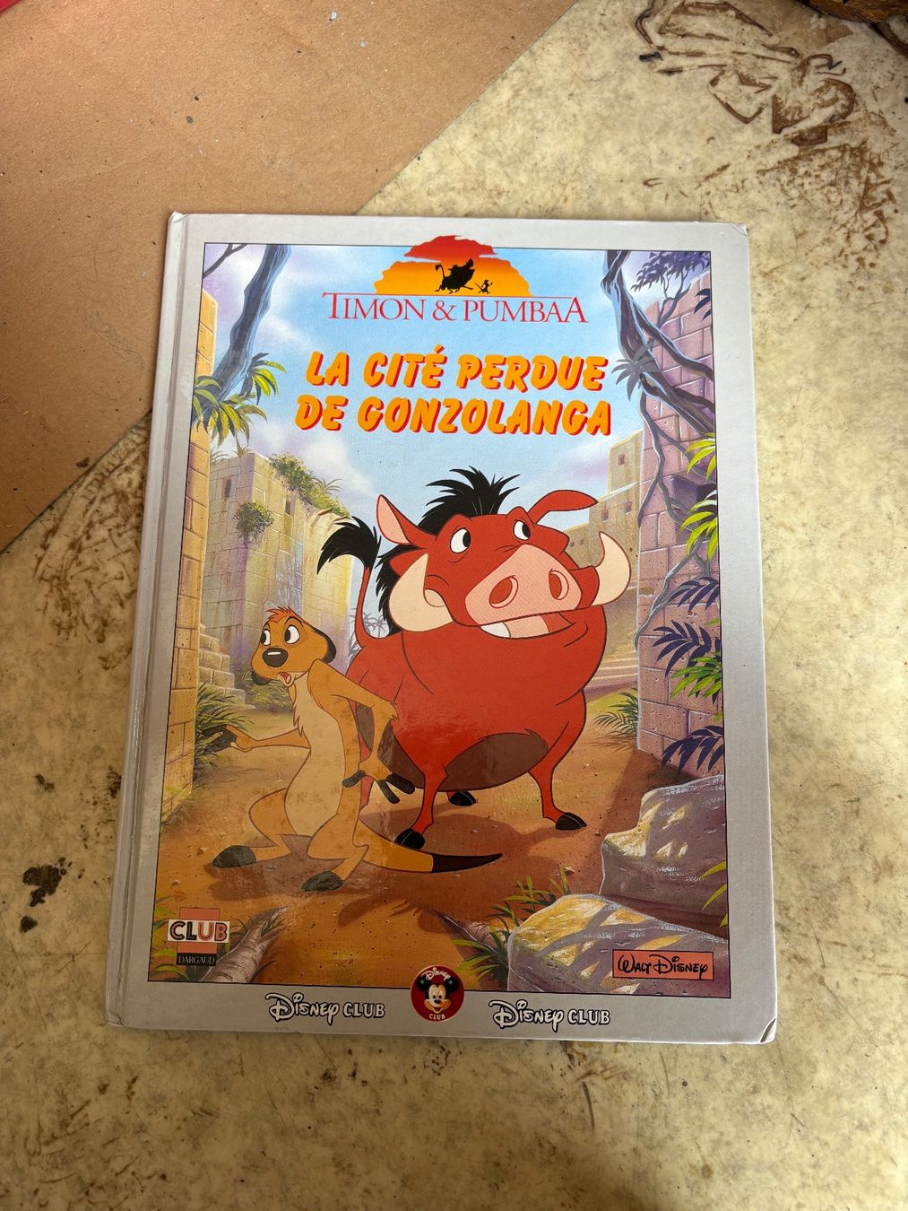 Fumetti: Bd Timon et Pumbaa – Usato da Grône venduto da natatou