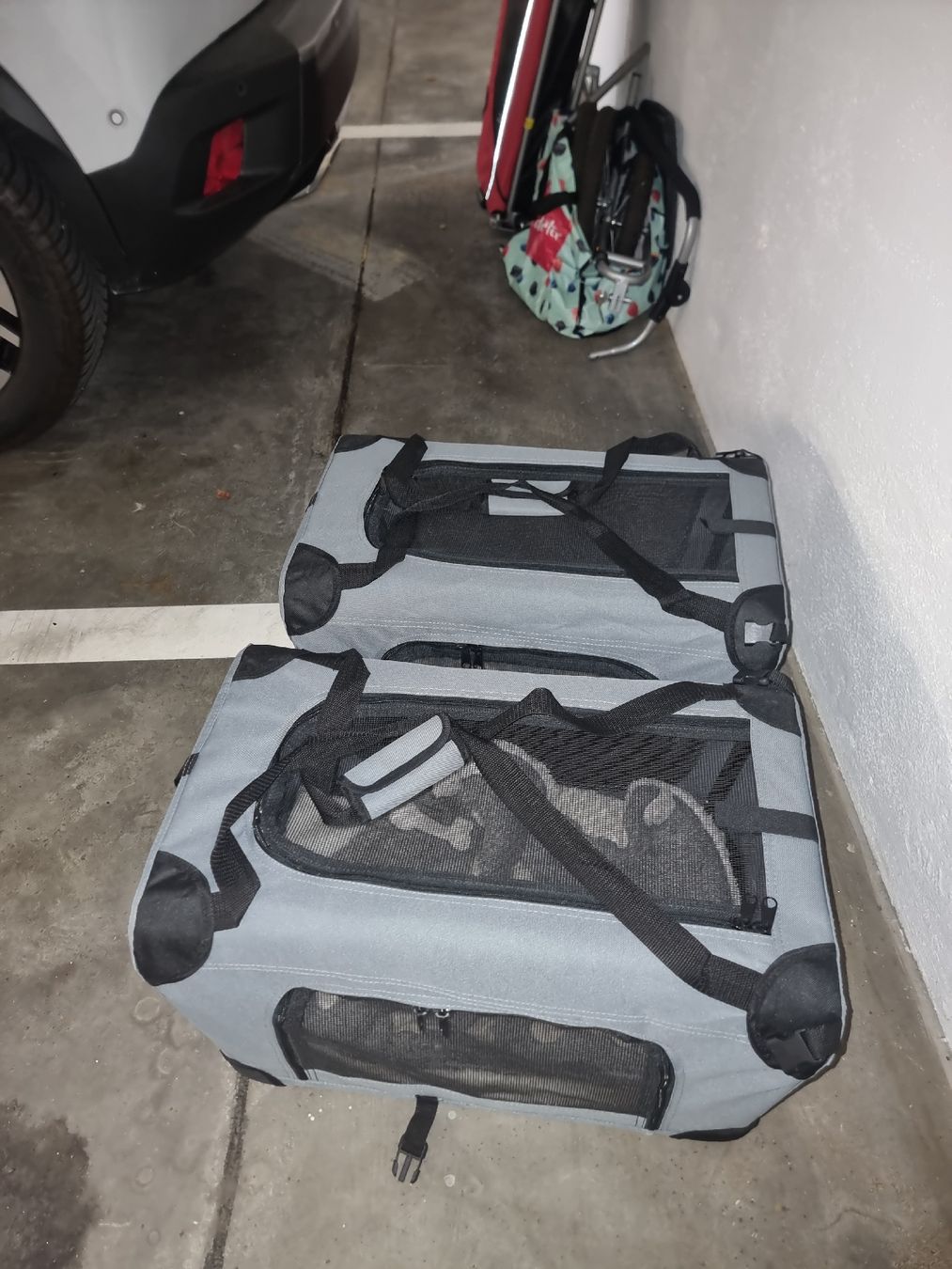 Liege- & Schlafplätze: FreezackFaltbox Roco 2× – Gebraucht aus Arbon von sabire72 1