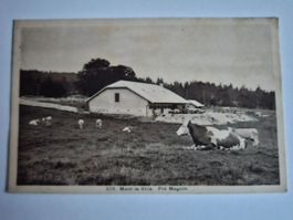 Carte postale Mont-la-Ville Pré Magnin occasion