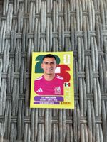 Panini WM 2026
