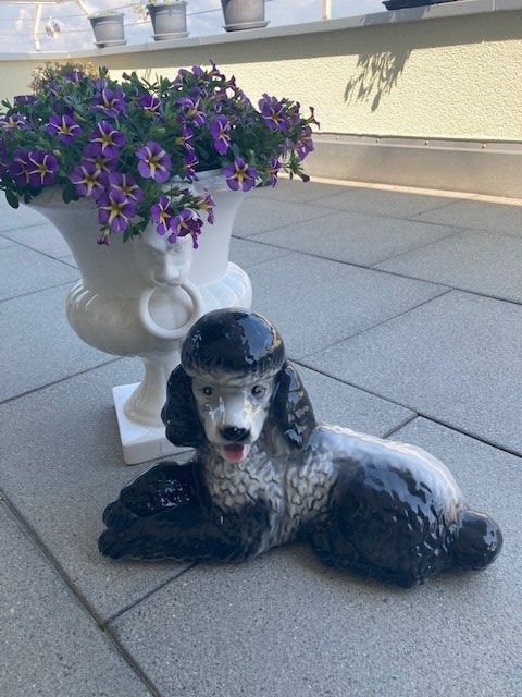 Statuette: Pudel Keramik – Usato da Rorschacherberg venduto da stega03