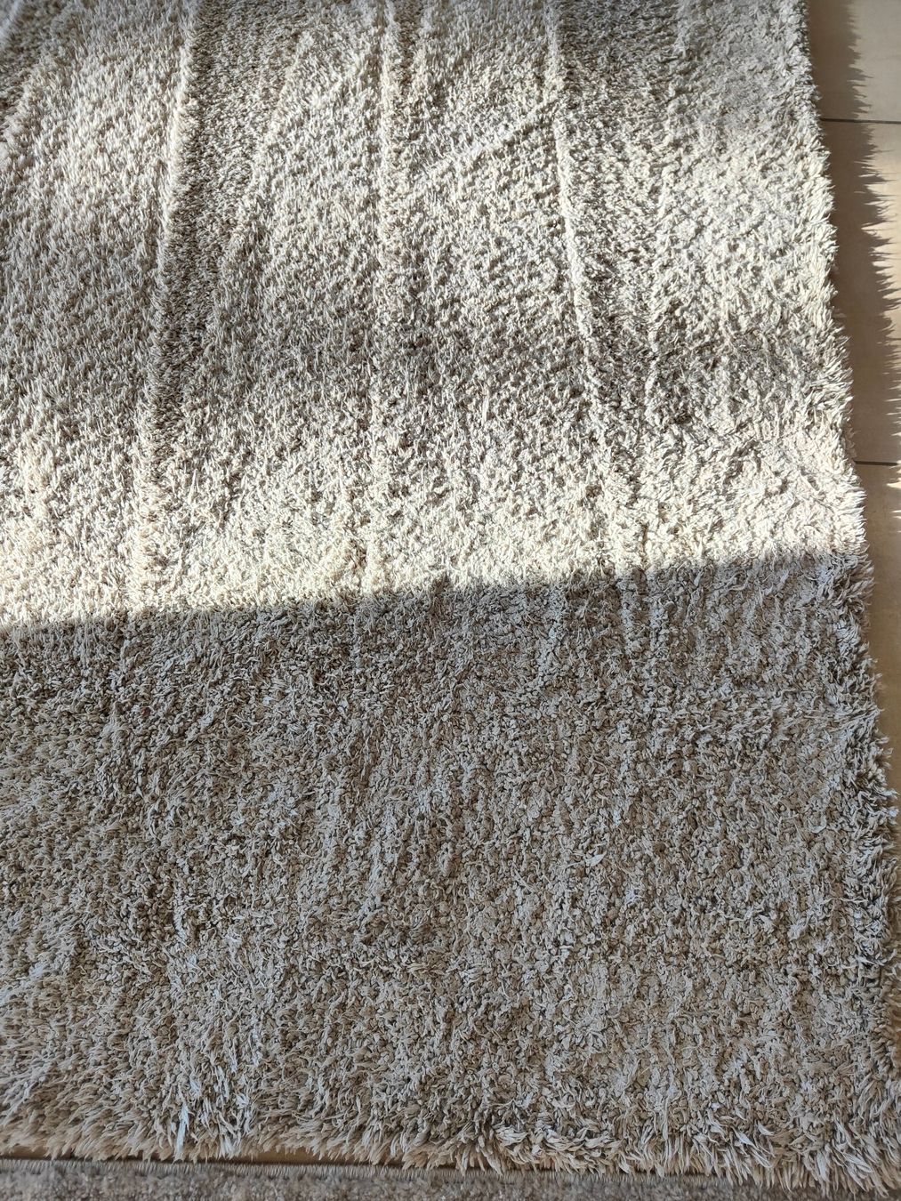 Tappeti: Hochflorteppich 200 x 290cm – Usato da Rickenbach b. Wil venduto da Beautiful.Things 4