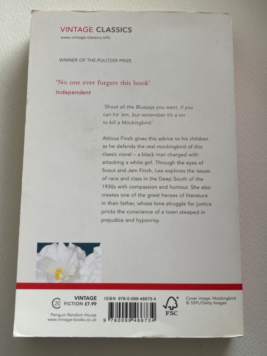 Libri: the Kill A mocking bird – Usato da Forch venduto da tieckr 1