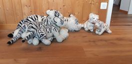 Tiger Familie