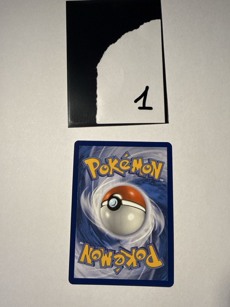 Pokémon Carte collezionabili: Mightyena - 243 – Nuovo (secondo la descrizione) da Ascona venduto da Prime333389 1