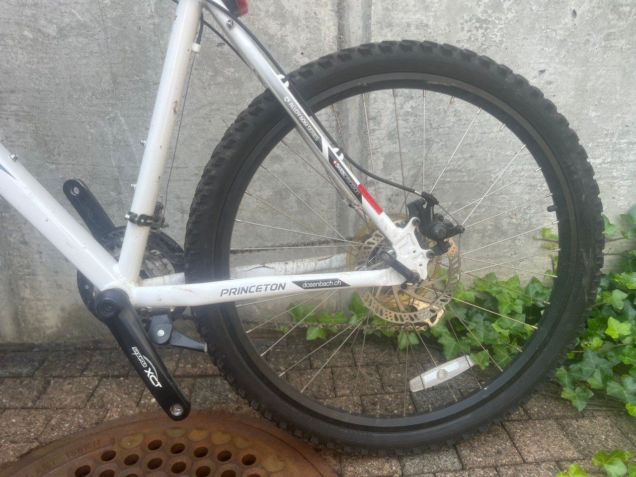 Biciclette: PRINCETON Mountainbike – Usato da Nottwil venduto da Ape4 5