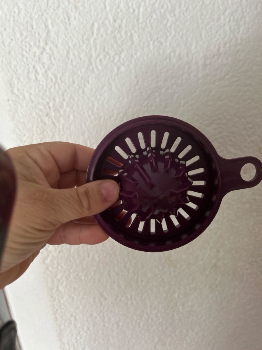Tupperware Elettrodomestici da cucina: Tupperware Behälter Set 4-teilig Multifunktion Zitronenpress – Usato da Herbetswil venduto da rotekatze84 1
