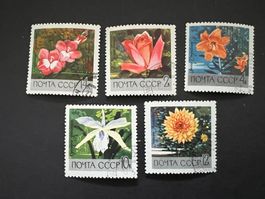 Russia 1969 Mi. 3620-24 Blumen Satz gest. (E1398)