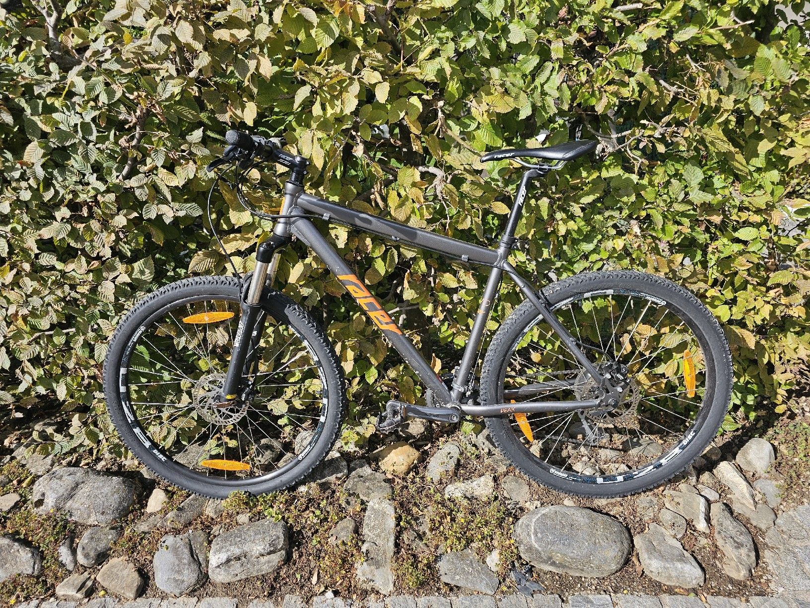 Velos: Racer Mountainbike – Gebraucht aus Herisau von nic_f59b