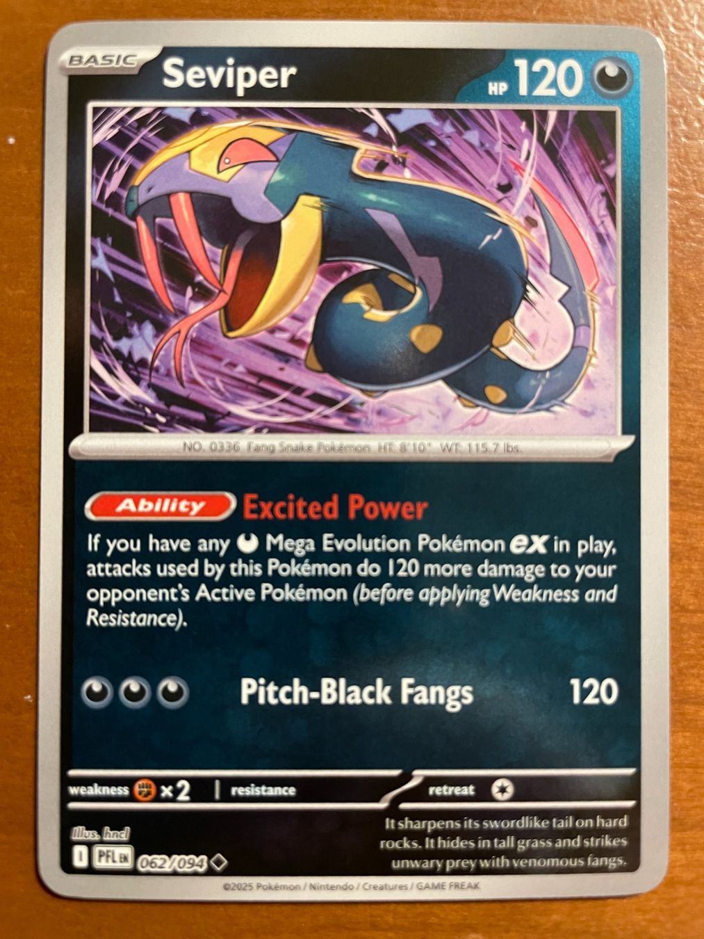 Pokémon Carte collezionabili: Pokemon Seviper Reverse (Versand gratis) – Nuovo (secondo la descrizione) da Chur venduto da Angerson