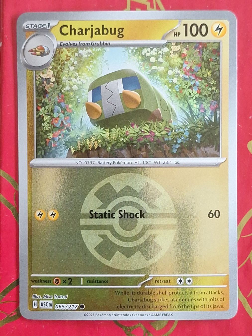 Pokémon Carte collezionabili: Charjabug Reverse Holo Ball - Ascended Heroes – Usato da Altstätten SG venduto da GGsGameshop