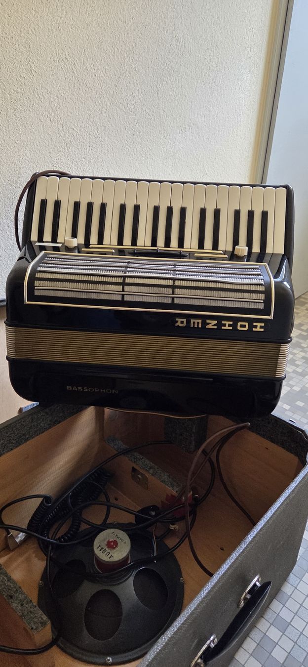 Instruments de musique: Accordéon et instruments électroniques – Défectueux à Penthalaz par EvandroLuz