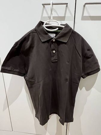 Polo Springfield