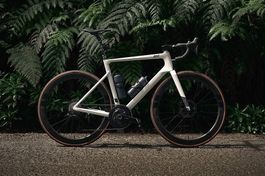 Rose Xlite Unltd Classified Kittel Edition