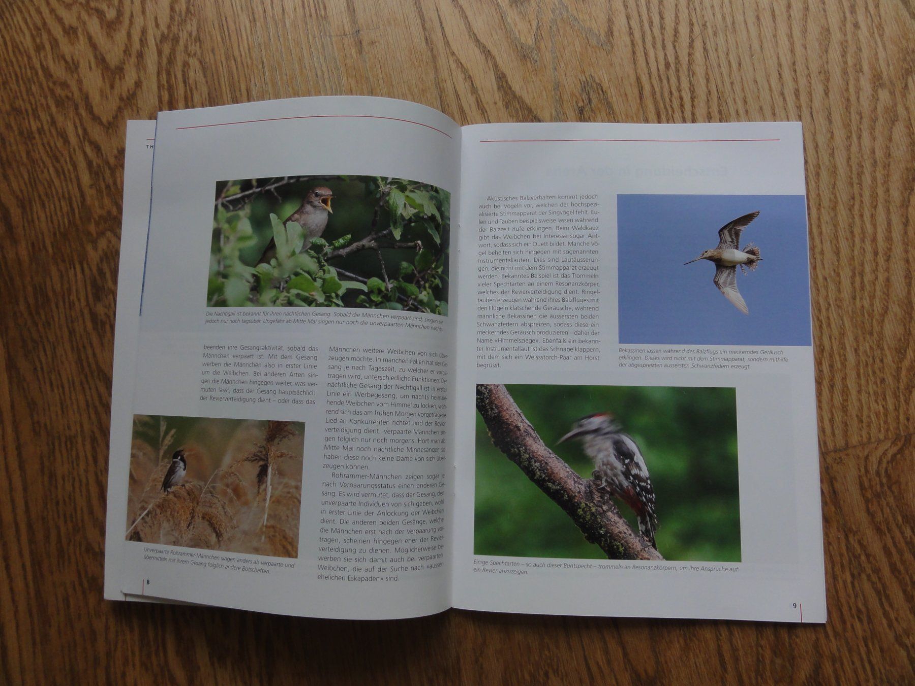 Libri: Die Vogelhochzeit – Nuovo (secondo la descrizione) da Riedholz venduto da Taweva 2