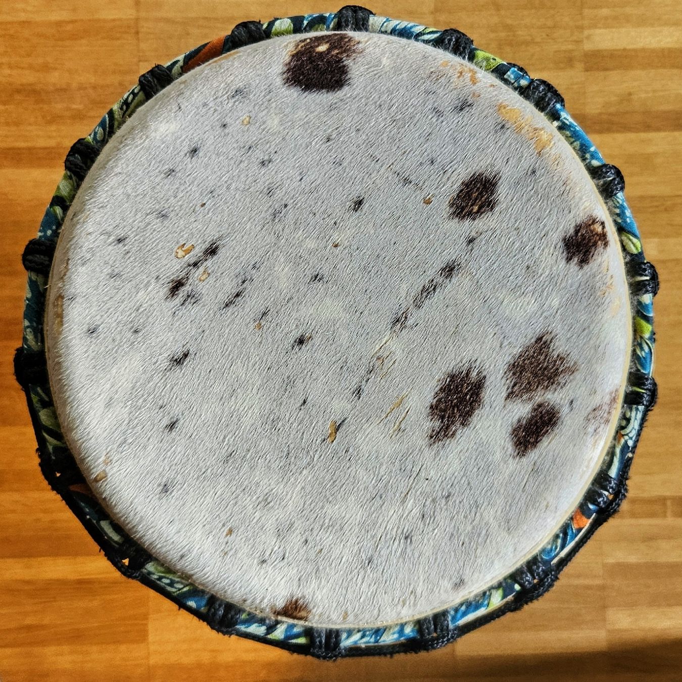 Musikinstrumente: DJEMBE – Gebraucht aus Köniz von Crispx