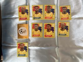 Südafrika Panini WM 2026