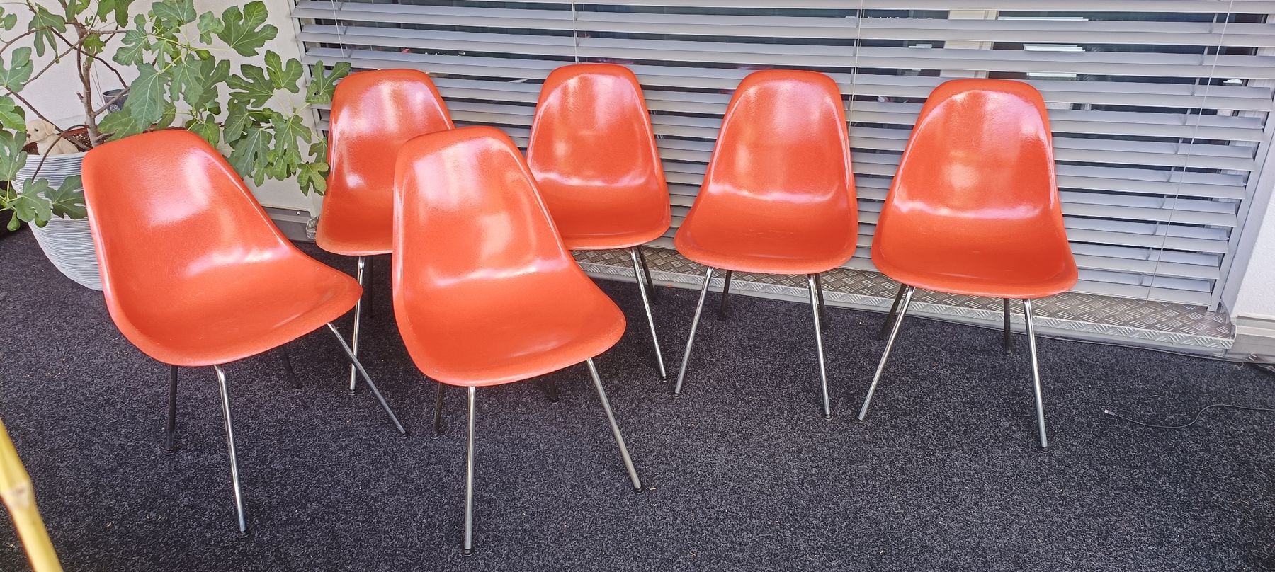 Herman Miller Chaises: 6 x Eames Herman Miller Stühle – D'occasion à Schmitten FR par oftringen