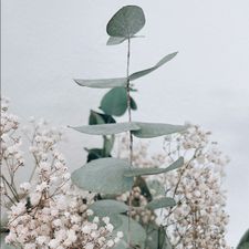 Profile image of Sina_11