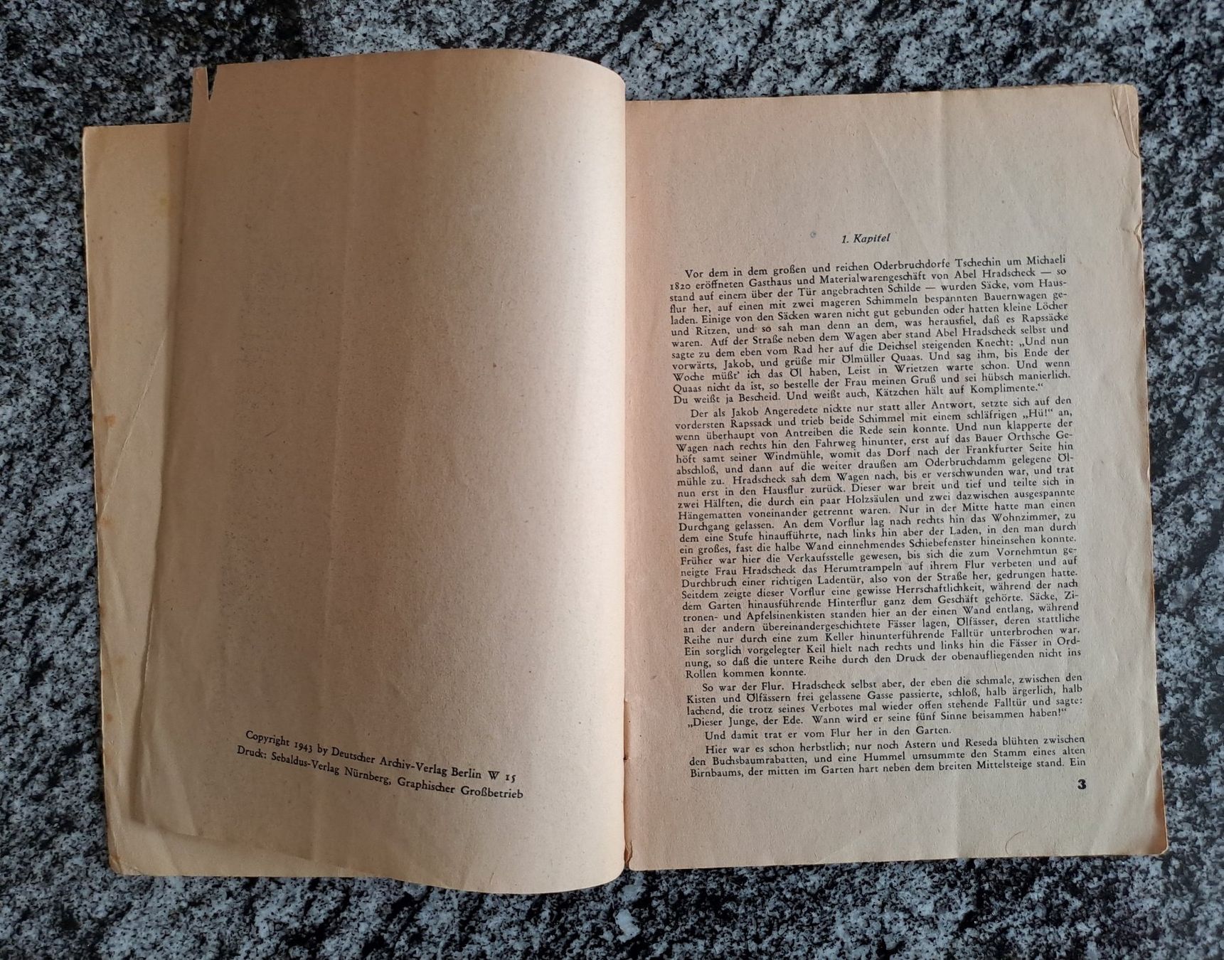 Libri: Alte Heftchen Goethe, Fontane, Lichtenberg – Usato da Meierskappel venduto da BruceCruise 6