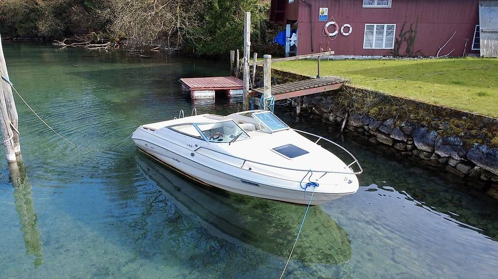 Sea Ray Barche: Gepflegte Sea Ray 200 Overnighter Select – Usato da Emmen venduto da smartphone 2