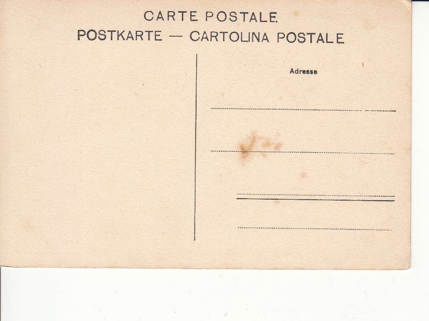 Cartoline postali: Gemmi Wildstrubel ca. 1910 – Usato da Bürglen TG venduto da StampGraf 1