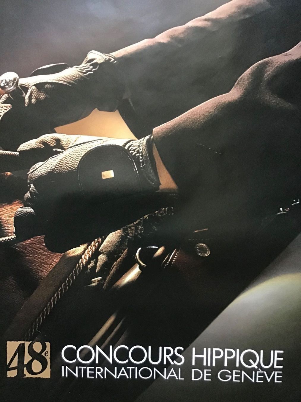 Poster & Bilder: Le défi des Champions FEI Rolex – Gebraucht aus Némiaz (Chamoson) von Patoshi
