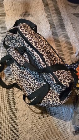 hunde Tasche 