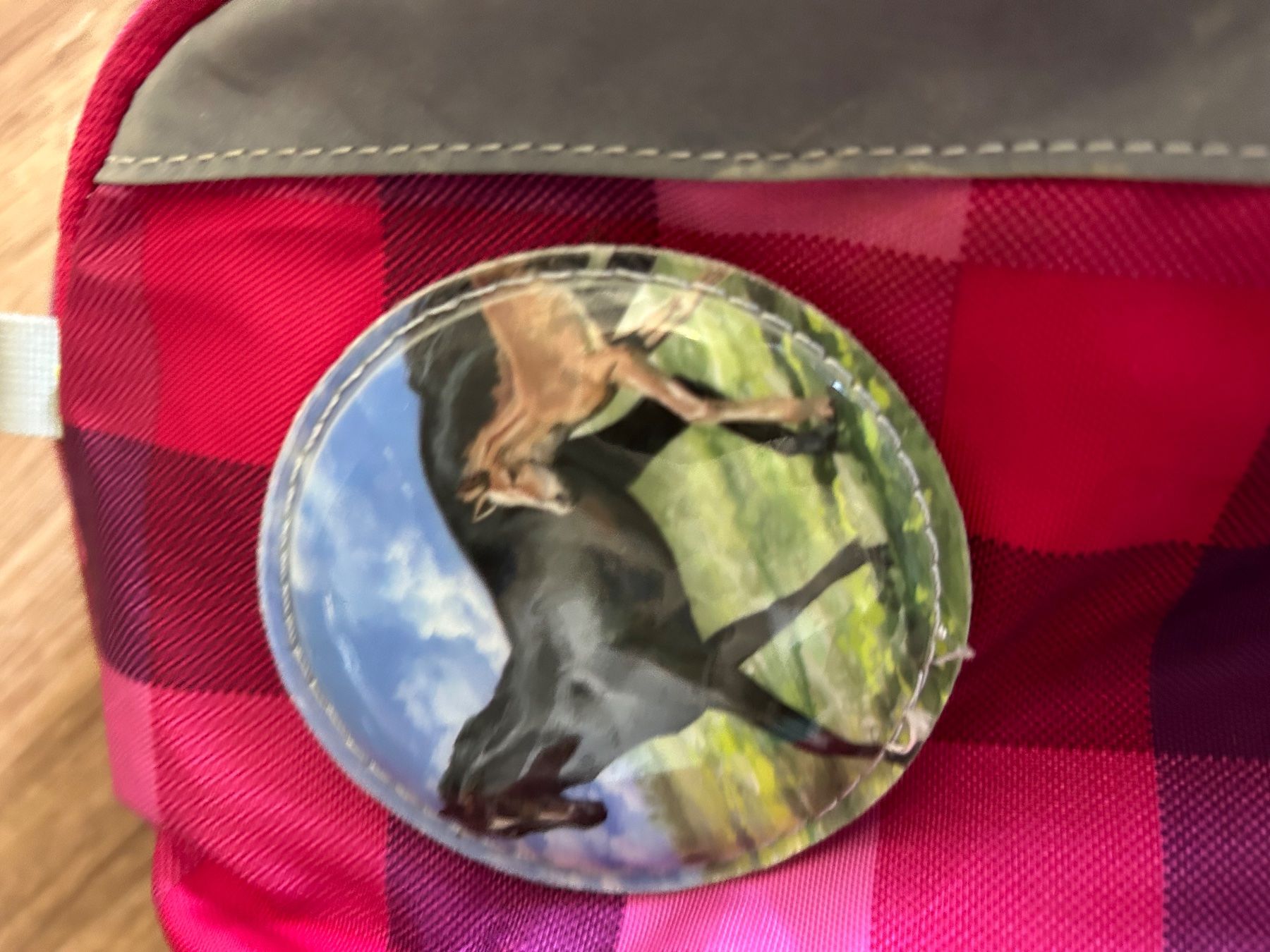 Borse & Zaini: Rucksack Ergobag Pferd – Usato da Bremgarten b. Bern venduto da m-stalder80